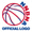 NBA联盟官方标志